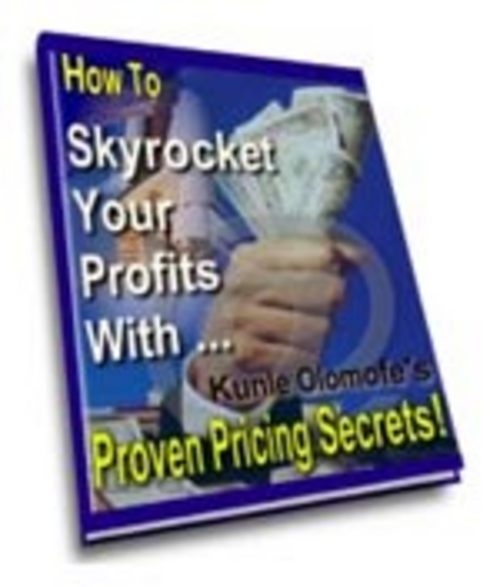 Product picture Skyrocket Your Profits